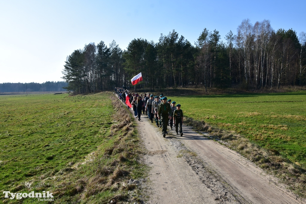 Gmina Śliwice: Piknik rodzinny 