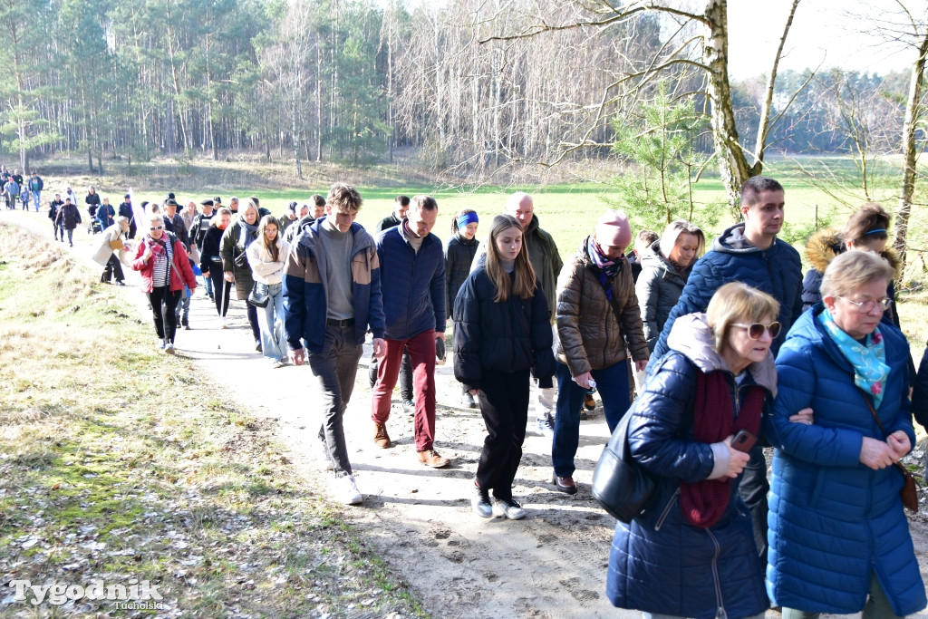 Gmina Śliwice: Piknik rodzinny 