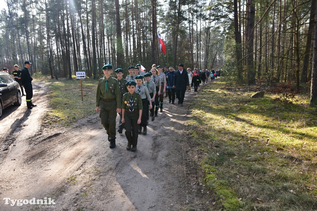 Gmina Śliwice: Piknik rodzinny 