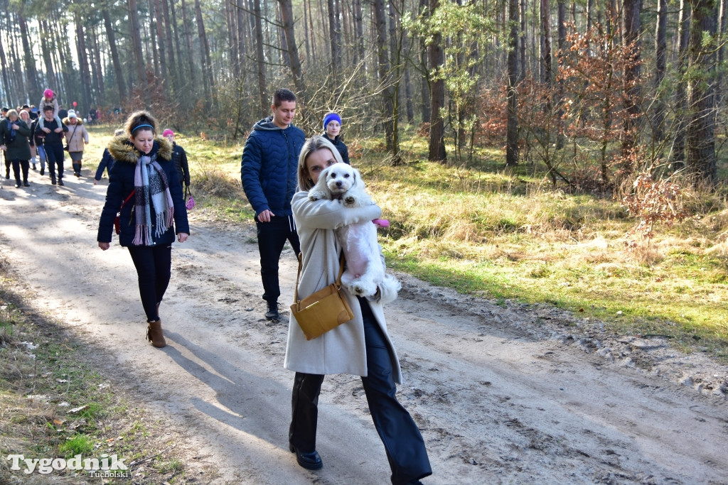 Gmina Śliwice: Piknik rodzinny 