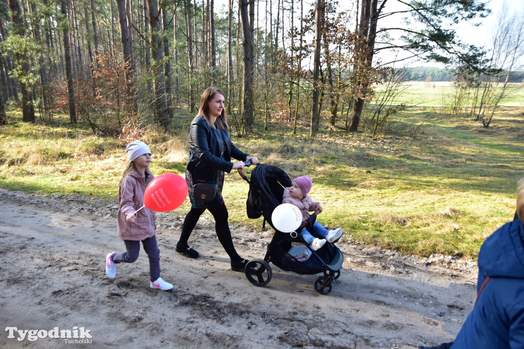 Gmina Śliwice: Piknik rodzinny 