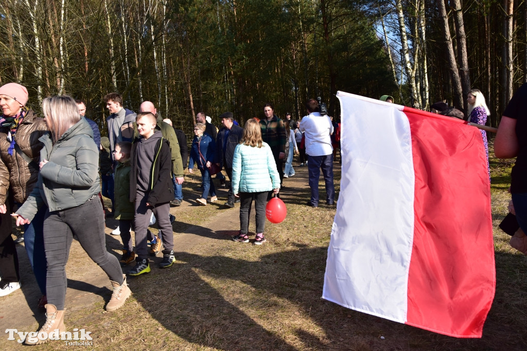 Gmina Śliwice: Piknik rodzinny 