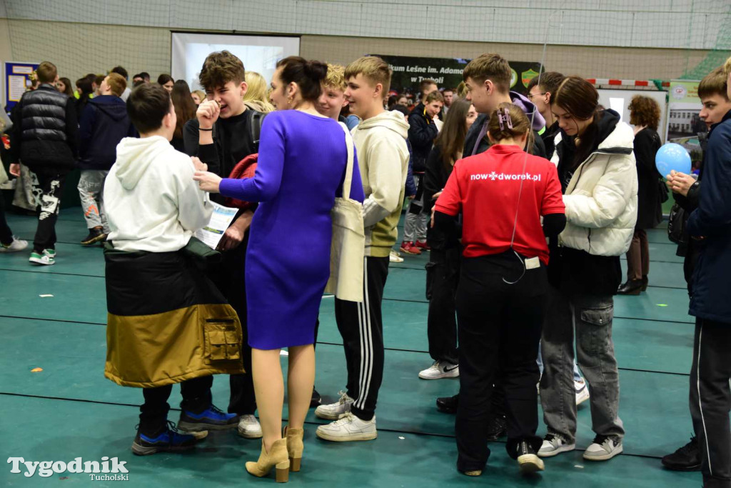 VII Powiatowe Targi Pracy i Edukacji