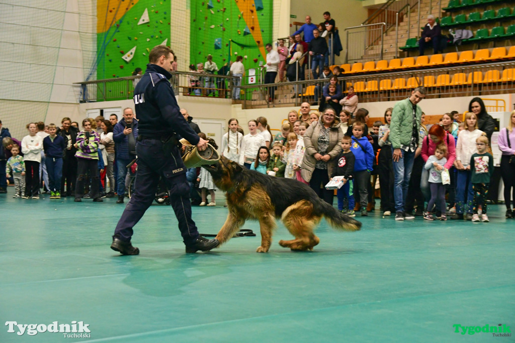 Festyn dla Kajtka Walczaka, Tuchola 23.03.2024