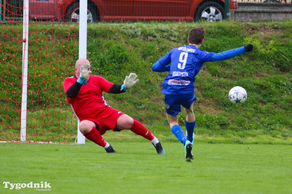 Piłka nożna, klasa B, Myśliwiec Gostycyn - Cis Cekcyn 3:0 (2:0)