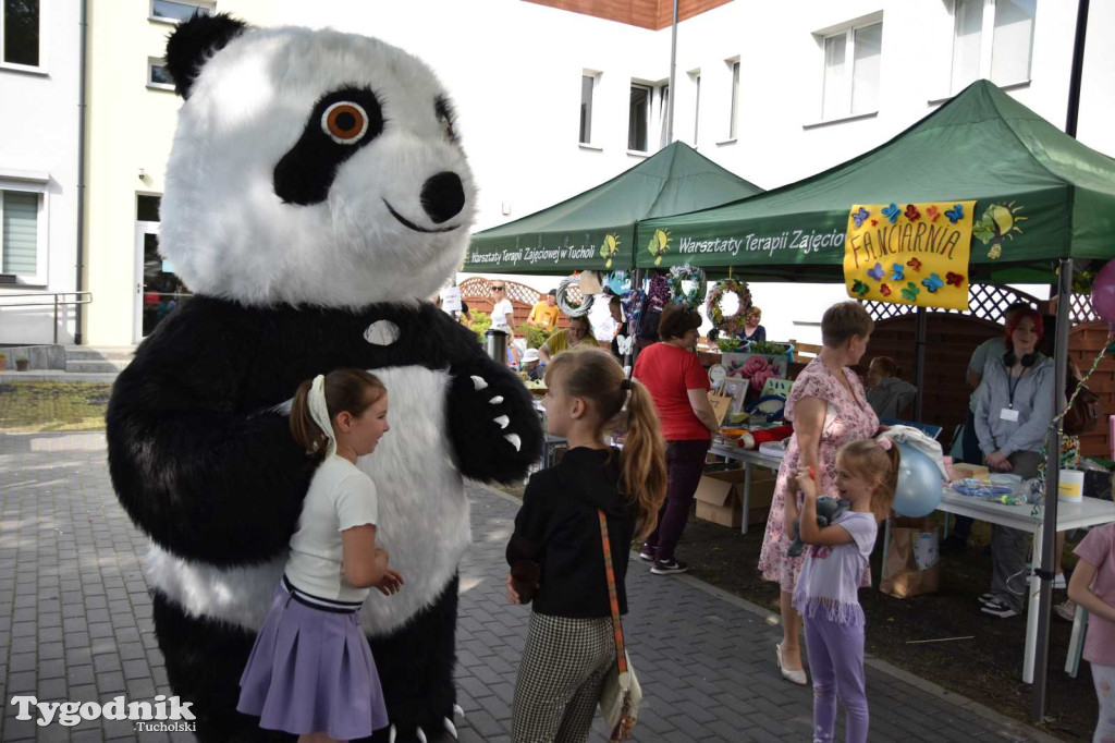 Powiatowy Dzień Dziecka w Tucholi