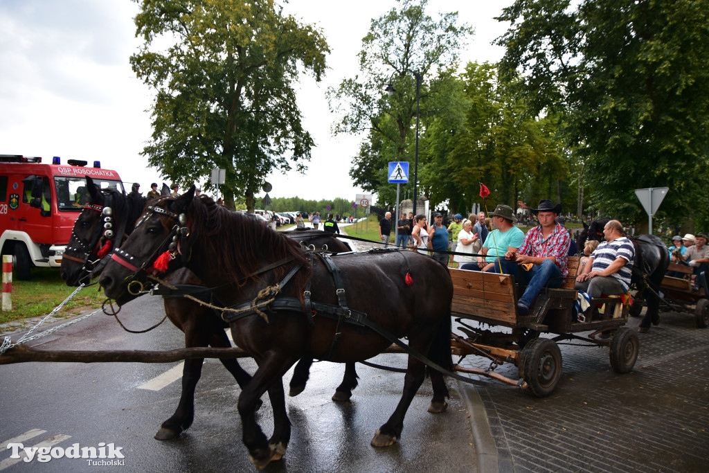 Śliwice: Jubileuszowa XV edycja Pikniku Koniarza / FOTORELACJA