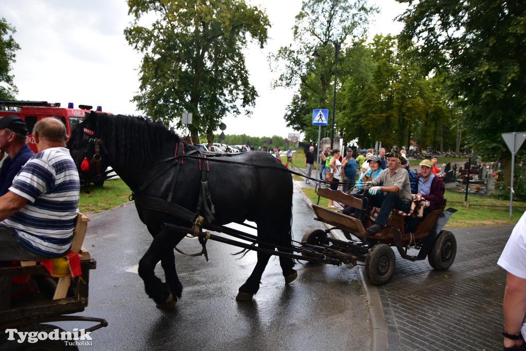 Śliwice: Jubileuszowa XV edycja Pikniku Koniarza / FOTORELACJA