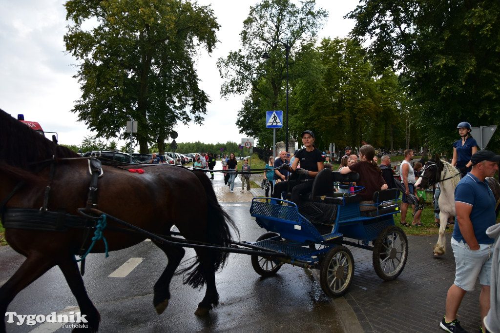 Śliwice: Jubileuszowa XV edycja Pikniku Koniarza / FOTORELACJA