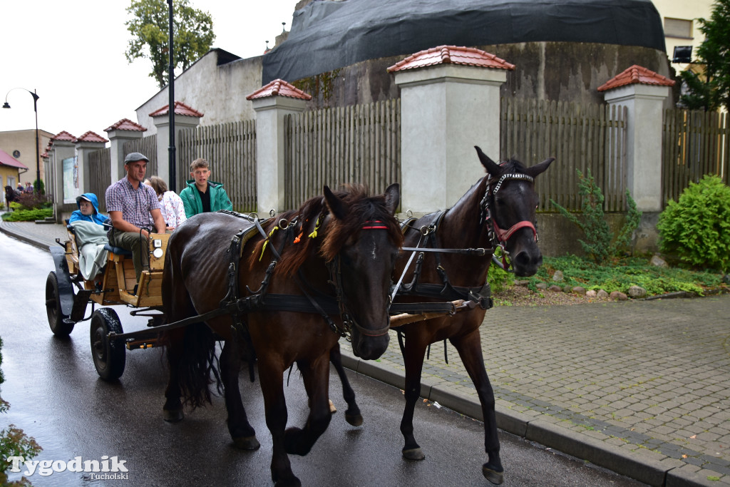 Śliwice: Jubileuszowa XV edycja Pikniku Koniarza / FOTORELACJA