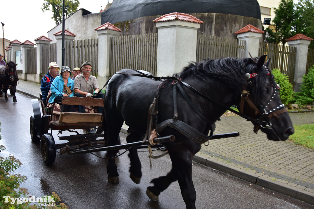 Śliwice: Jubileuszowa XV edycja Pikniku Koniarza / FOTORELACJA
