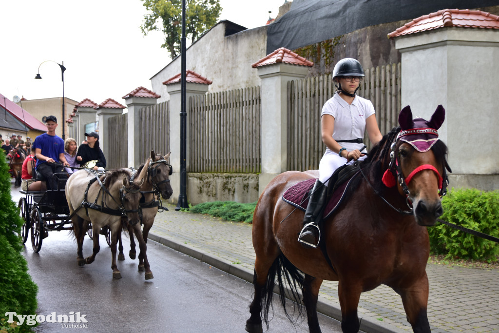 Śliwice: Jubileuszowa XV edycja Pikniku Koniarza / FOTORELACJA