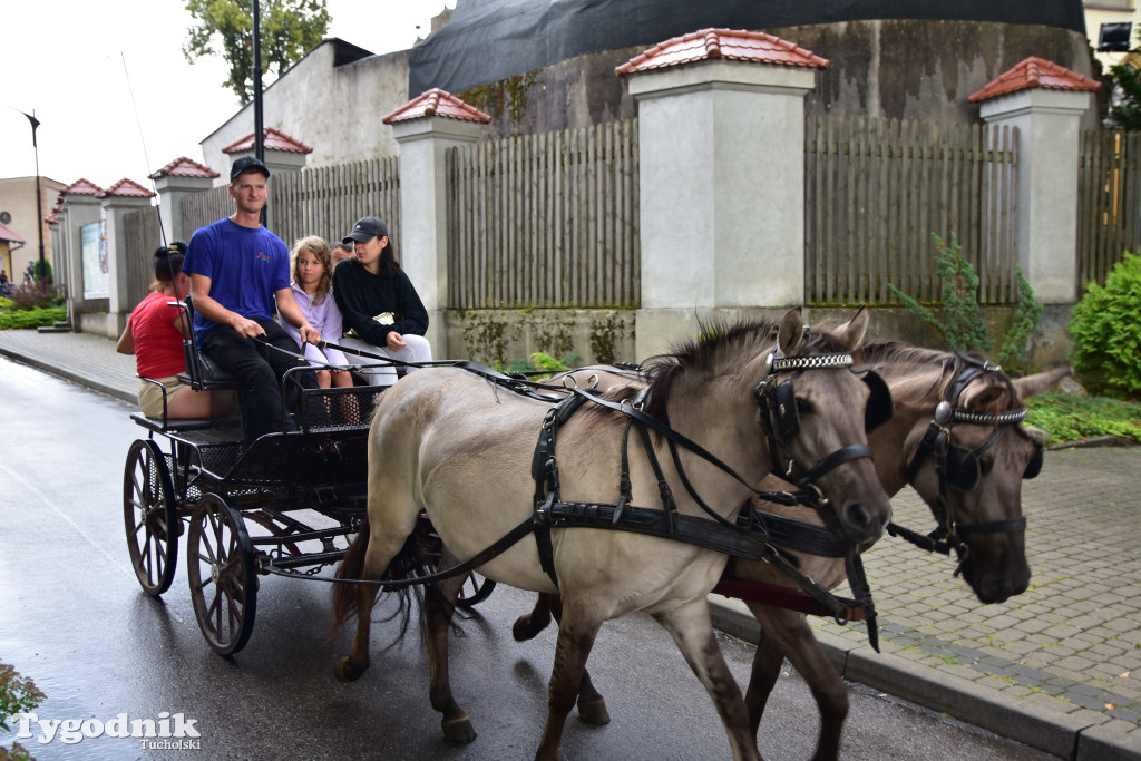 Śliwice: Jubileuszowa XV edycja Pikniku Koniarza / FOTORELACJA