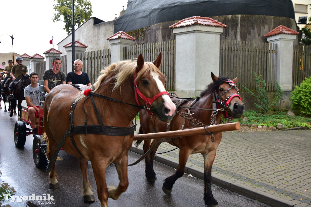 Śliwice: Jubileuszowa XV edycja Pikniku Koniarza / FOTORELACJA