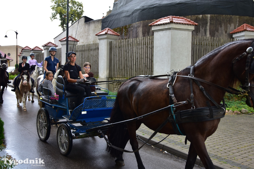 Śliwice: Jubileuszowa XV edycja Pikniku Koniarza / FOTORELACJA