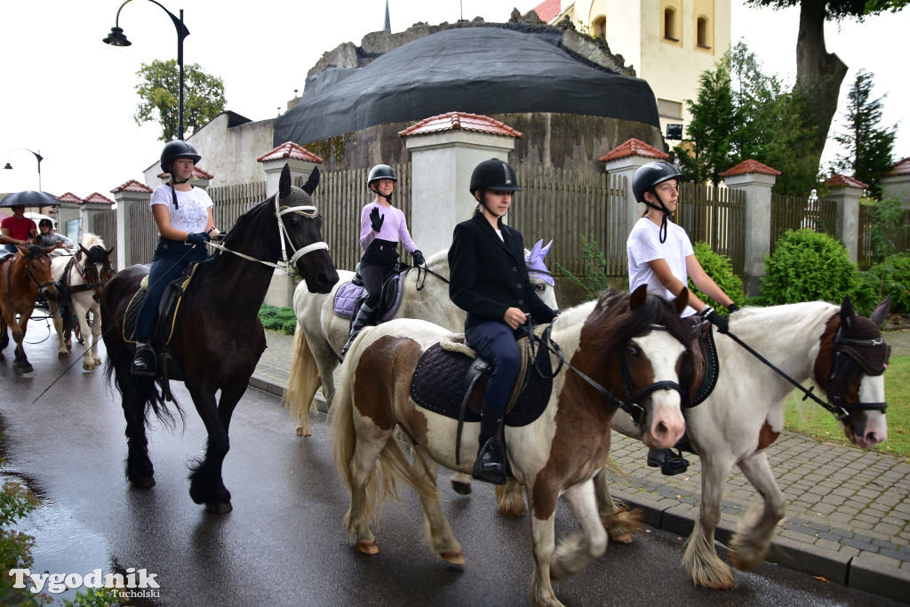 Śliwice: Jubileuszowa XV edycja Pikniku Koniarza / FOTORELACJA