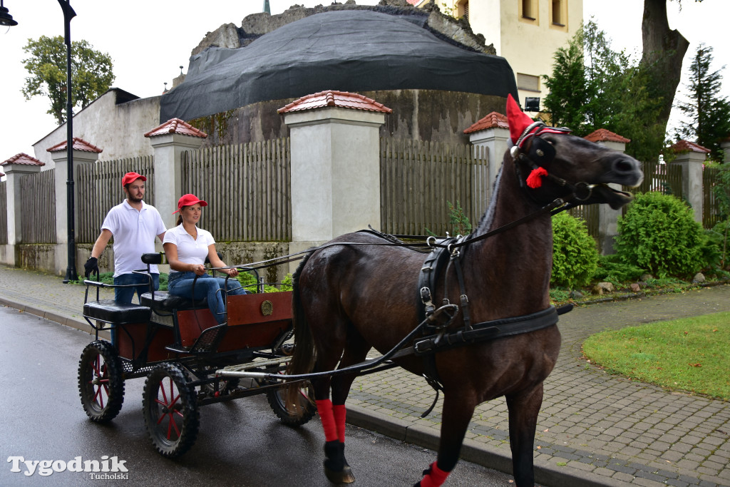 Śliwice: Jubileuszowa XV edycja Pikniku Koniarza / FOTORELACJA