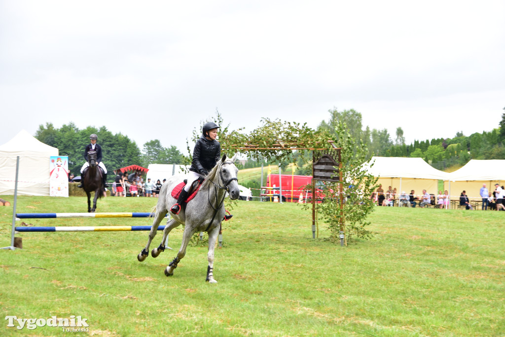 Śliwice: Jubileuszowa XV edycja Pikniku Koniarza / FOTORELACJA