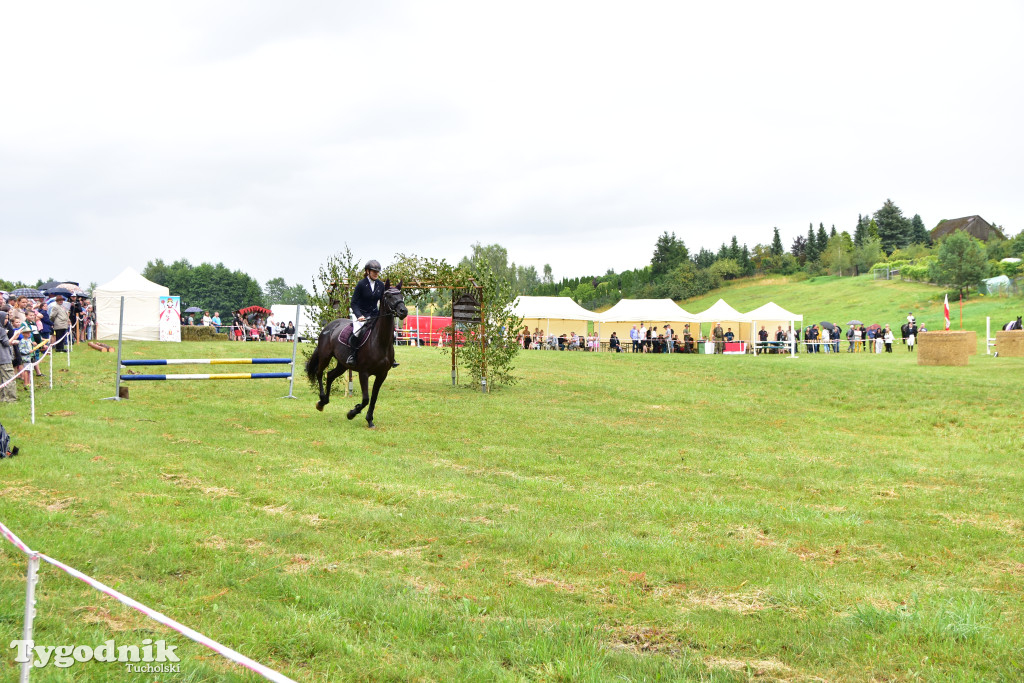 Śliwice: Jubileuszowa XV edycja Pikniku Koniarza / FOTORELACJA