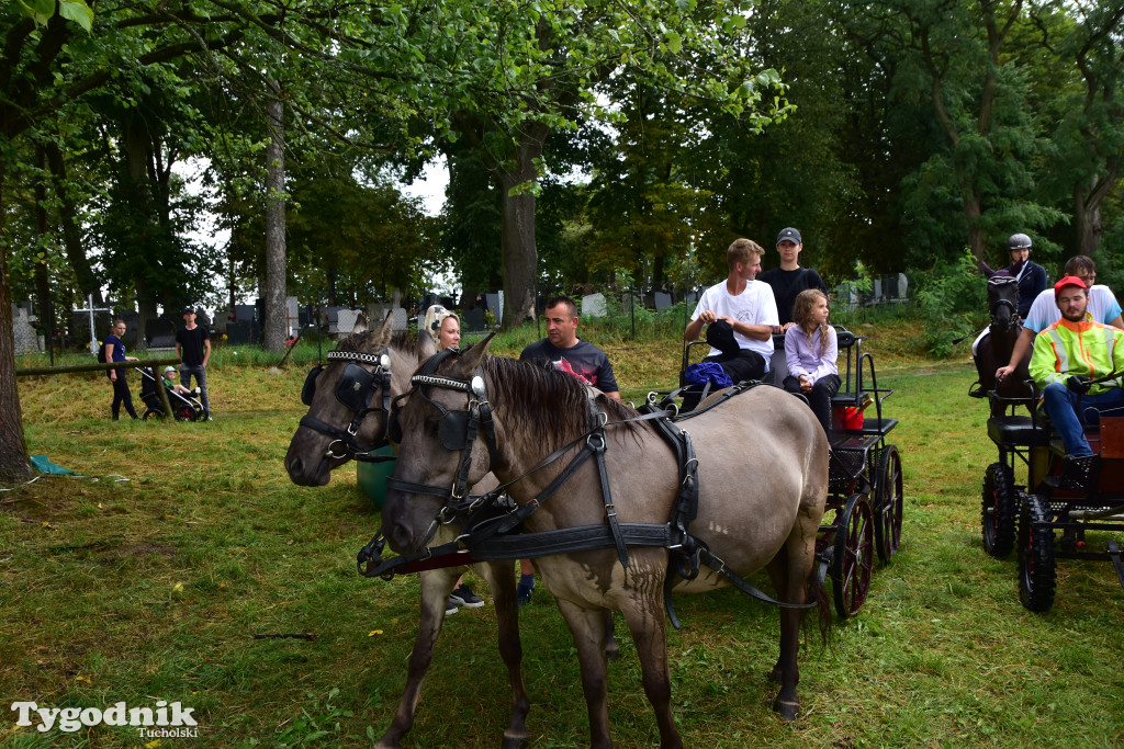 Śliwice: Jubileuszowa XV edycja Pikniku Koniarza / FOTORELACJA
