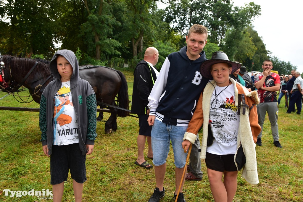 Śliwice: Jubileuszowa XV edycja Pikniku Koniarza / FOTORELACJA
