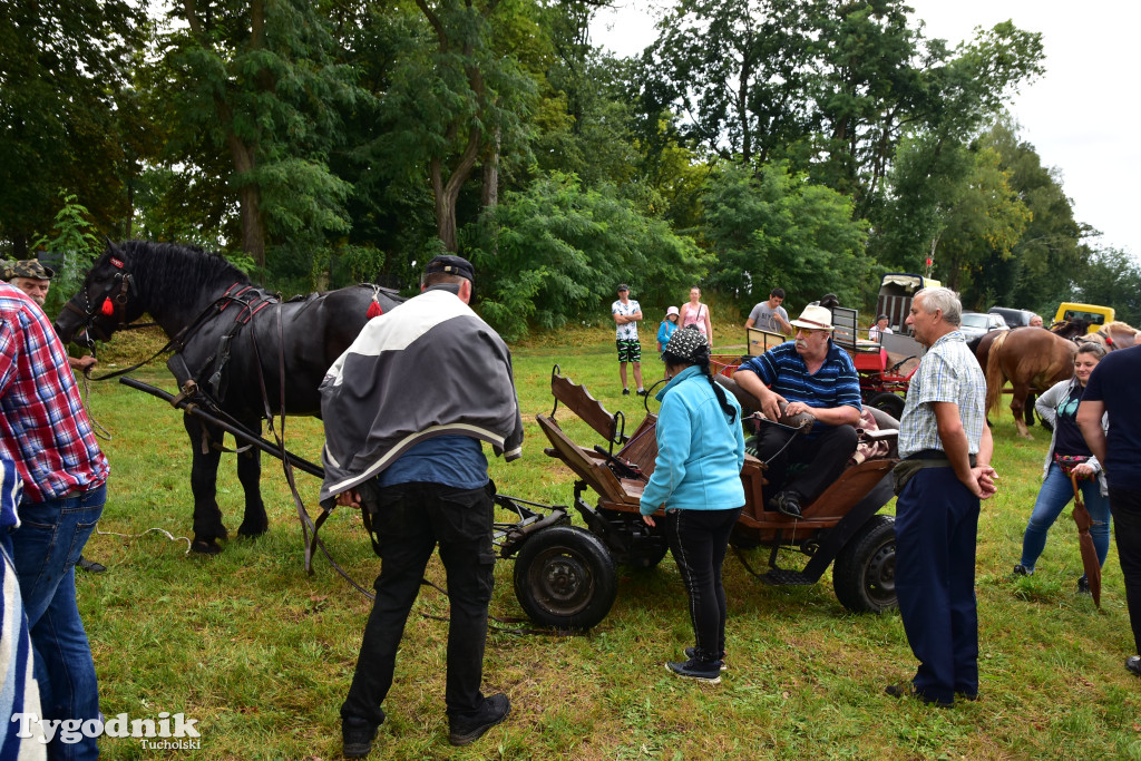 Śliwice: Jubileuszowa XV edycja Pikniku Koniarza / FOTORELACJA