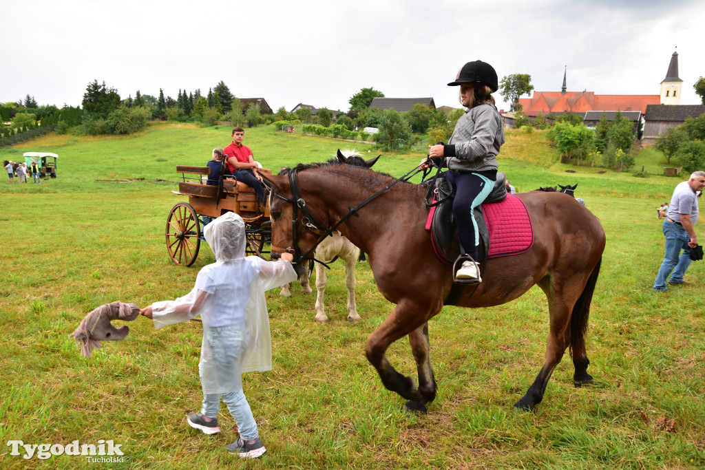 Śliwice: Jubileuszowa XV edycja Pikniku Koniarza / FOTORELACJA