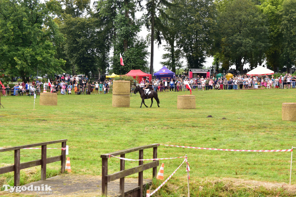 Śliwice: Jubileuszowa XV edycja Pikniku Koniarza / FOTORELACJA