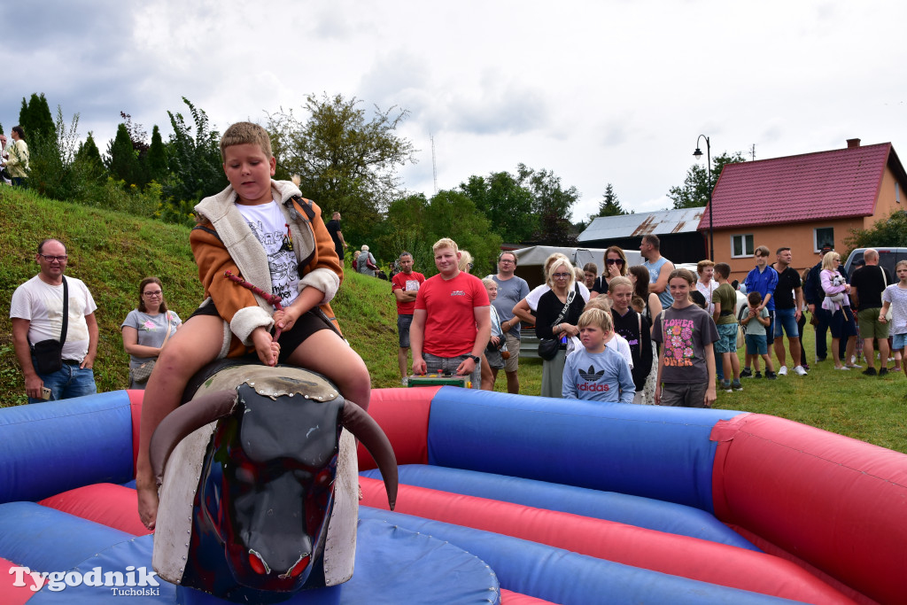 Śliwice: Jubileuszowa XV edycja Pikniku Koniarza / FOTORELACJA