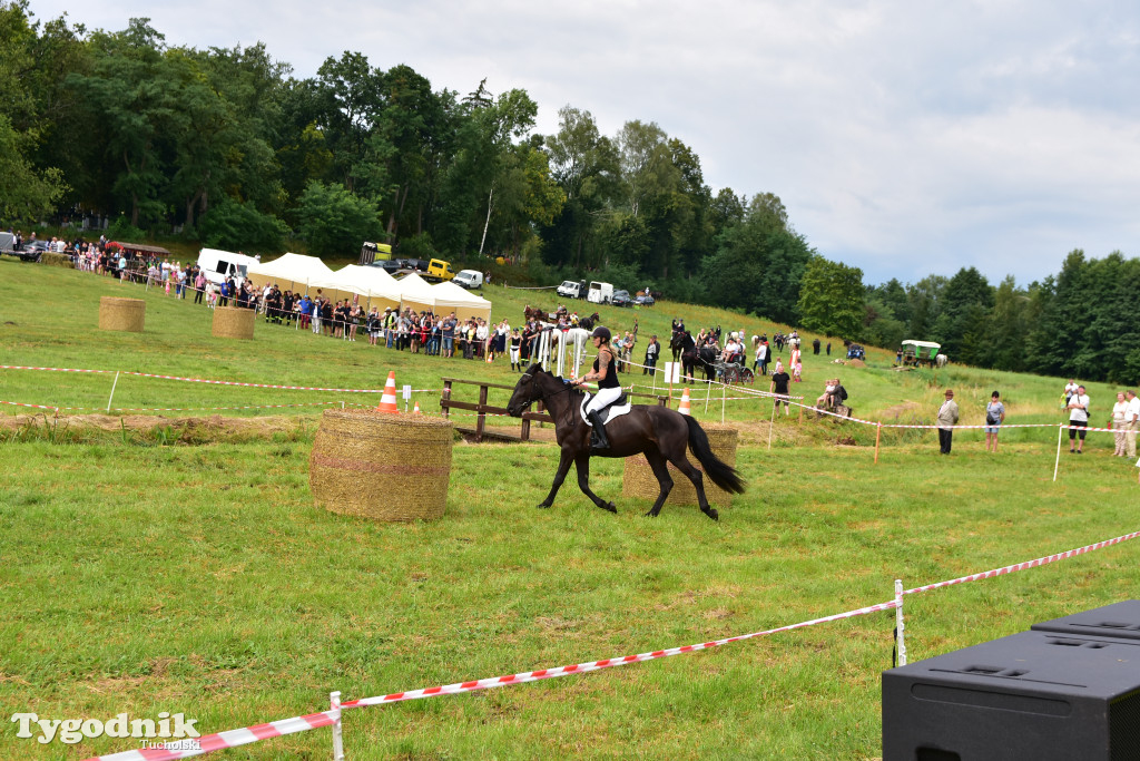 Śliwice: Jubileuszowa XV edycja Pikniku Koniarza / FOTORELACJA