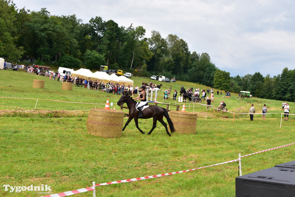 Śliwice: Jubileuszowa XV edycja Pikniku Koniarza / FOTORELACJA