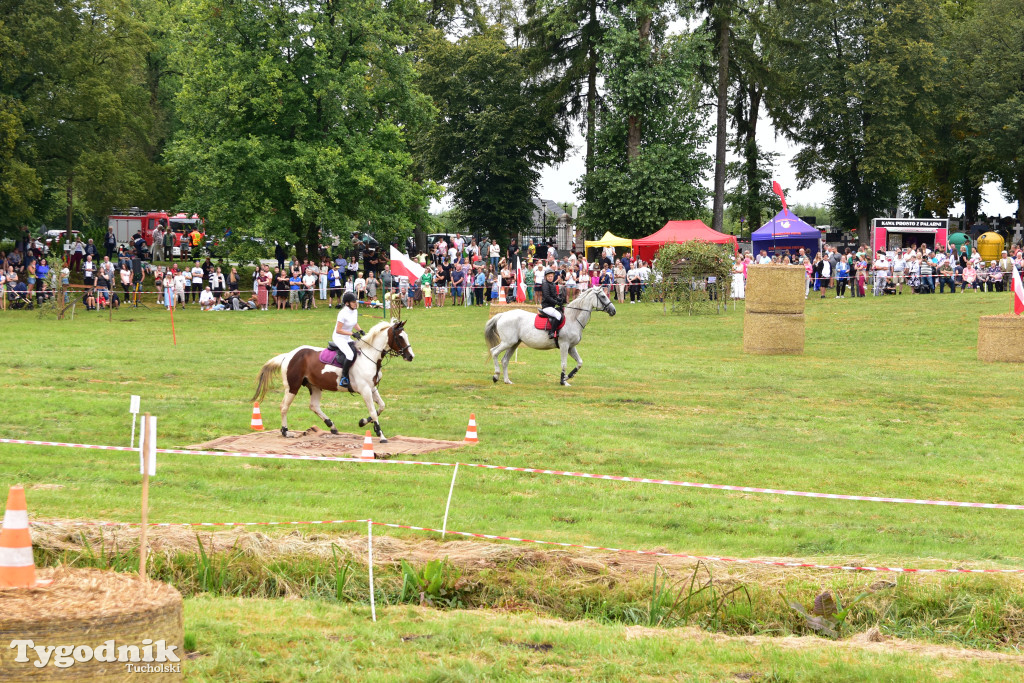 Śliwice: Jubileuszowa XV edycja Pikniku Koniarza / FOTORELACJA