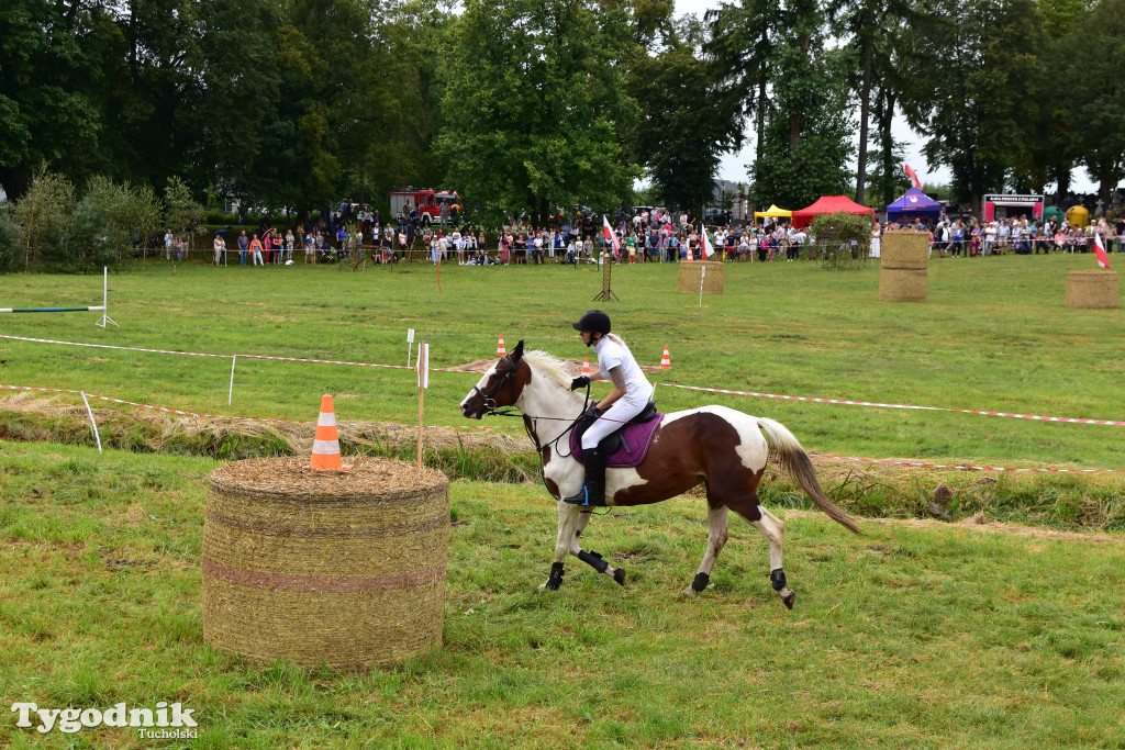 Śliwice: Jubileuszowa XV edycja Pikniku Koniarza / FOTORELACJA