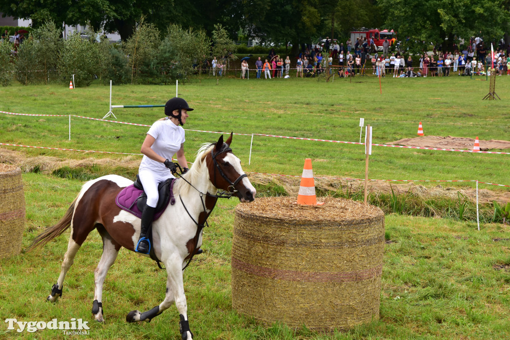 Śliwice: Jubileuszowa XV edycja Pikniku Koniarza / FOTORELACJA