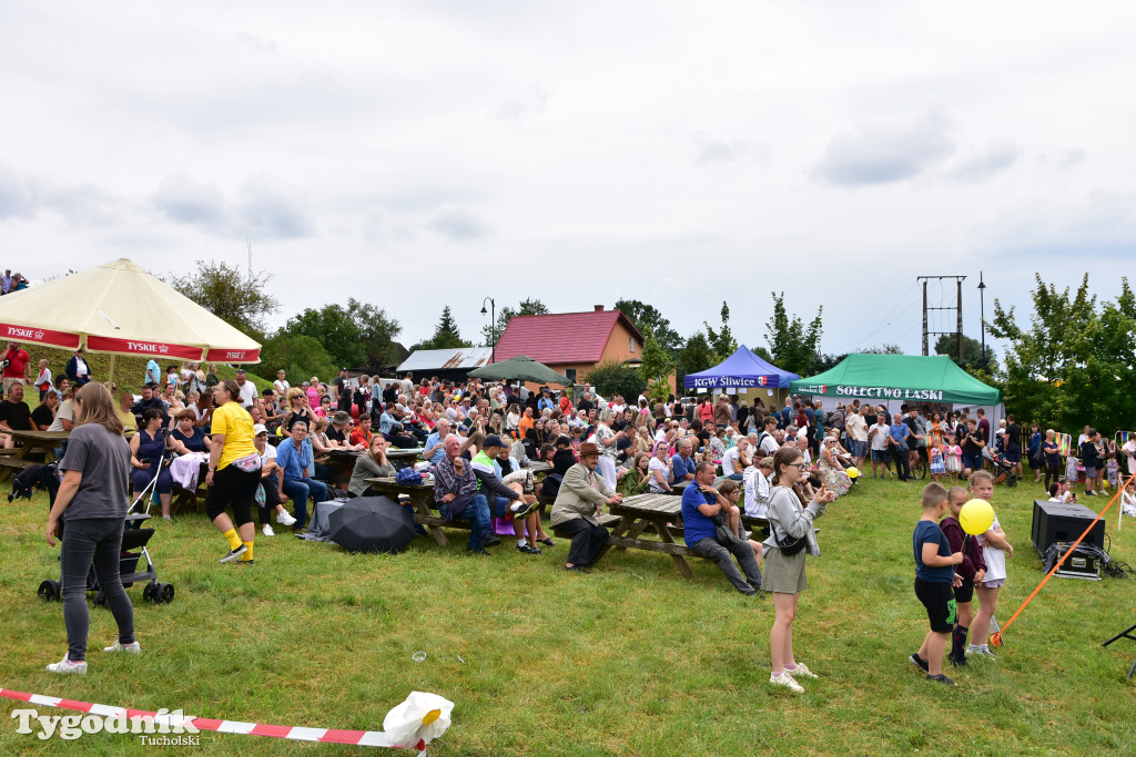 Śliwice: Jubileuszowa XV edycja Pikniku Koniarza / FOTORELACJA