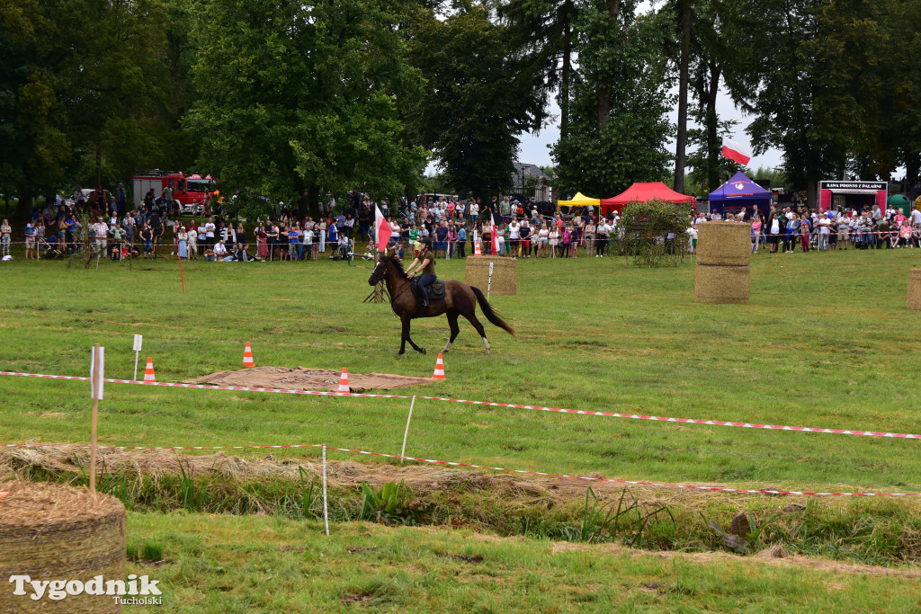 Śliwice: Jubileuszowa XV edycja Pikniku Koniarza / FOTORELACJA