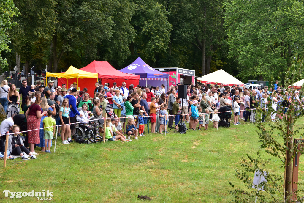 Śliwice: Jubileuszowa XV edycja Pikniku Koniarza / FOTORELACJA