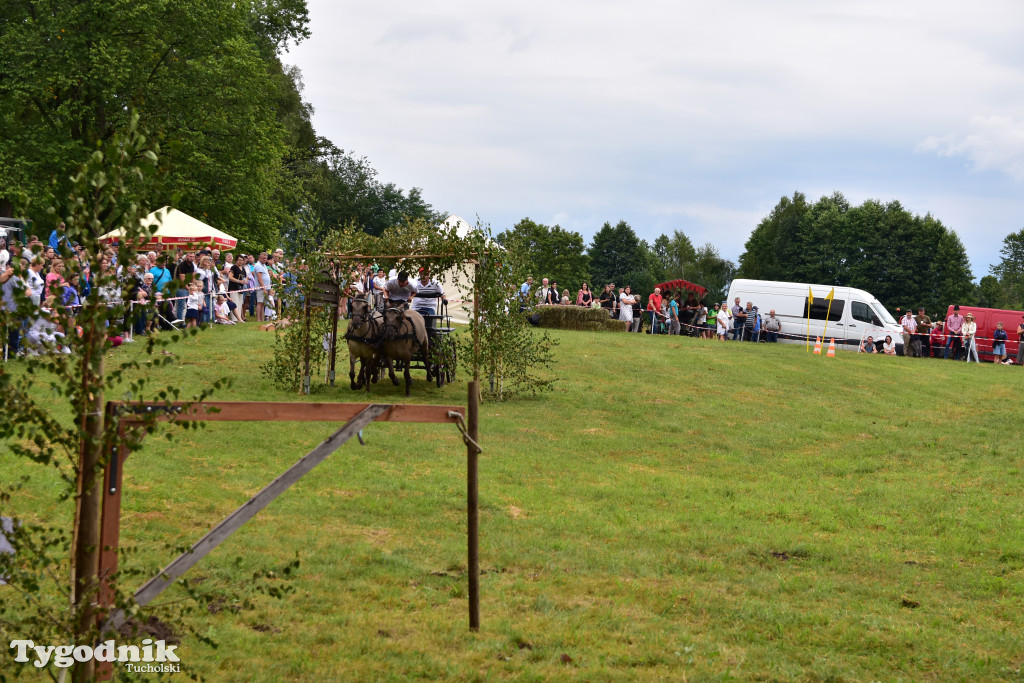 Śliwice: Jubileuszowa XV edycja Pikniku Koniarza / FOTORELACJA