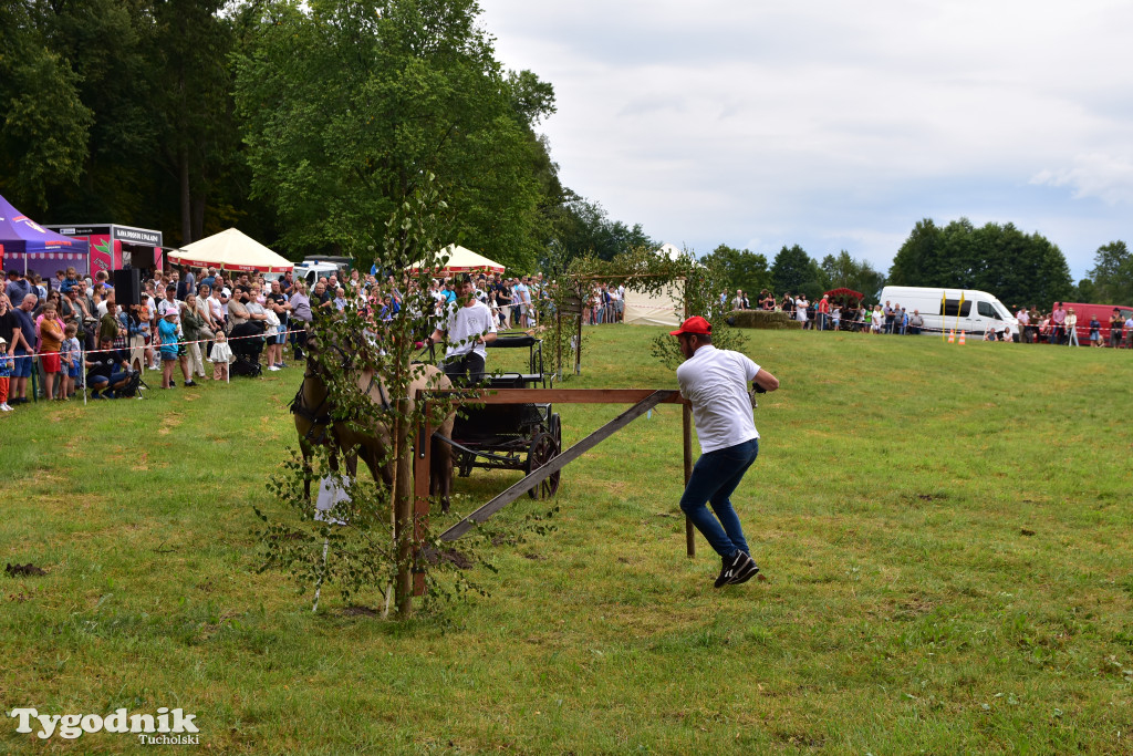 Śliwice: Jubileuszowa XV edycja Pikniku Koniarza / FOTORELACJA