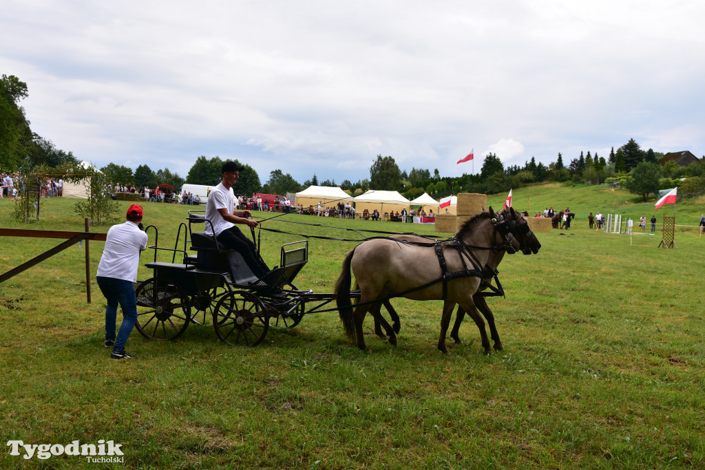 Śliwice: Jubileuszowa XV edycja Pikniku Koniarza / FOTORELACJA