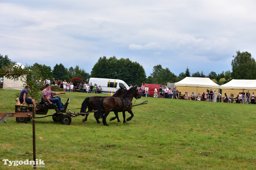 Śliwice: Jubileuszowa XV edycja Pikniku Koniarza / FOTORELACJA