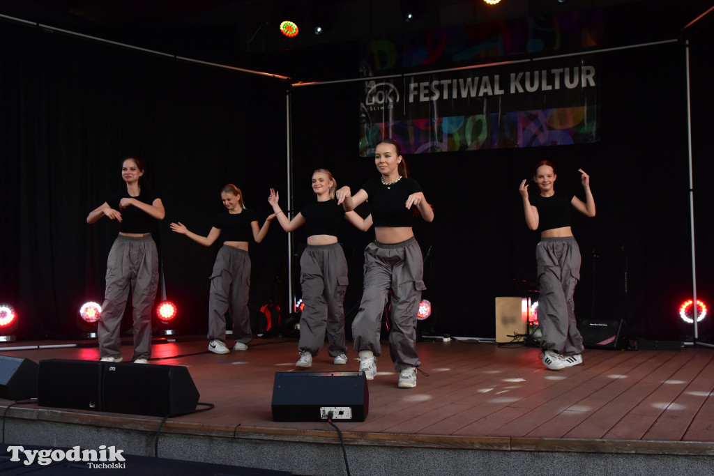 Śliwice: Festiwal Kultur z Igorem Kwiatkowskim! / FOTORELACJA