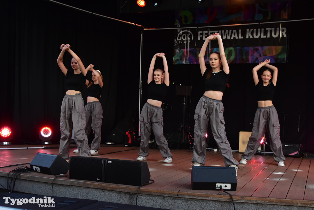 Śliwice: Festiwal Kultur z Igorem Kwiatkowskim! / FOTORELACJA