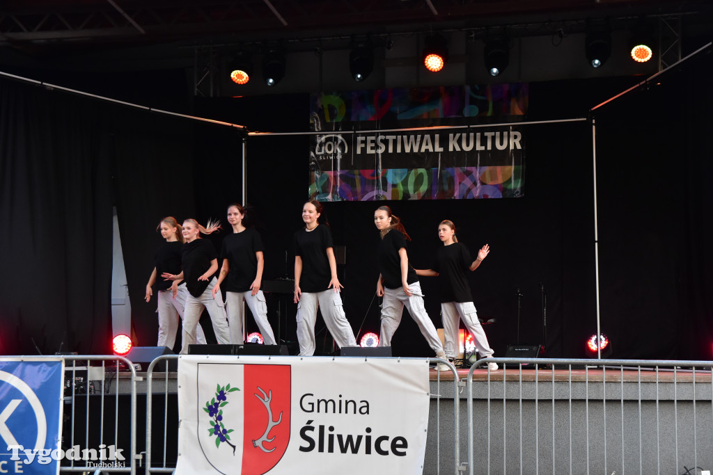 Śliwice: Festiwal Kultur z Igorem Kwiatkowskim! / FOTORELACJA