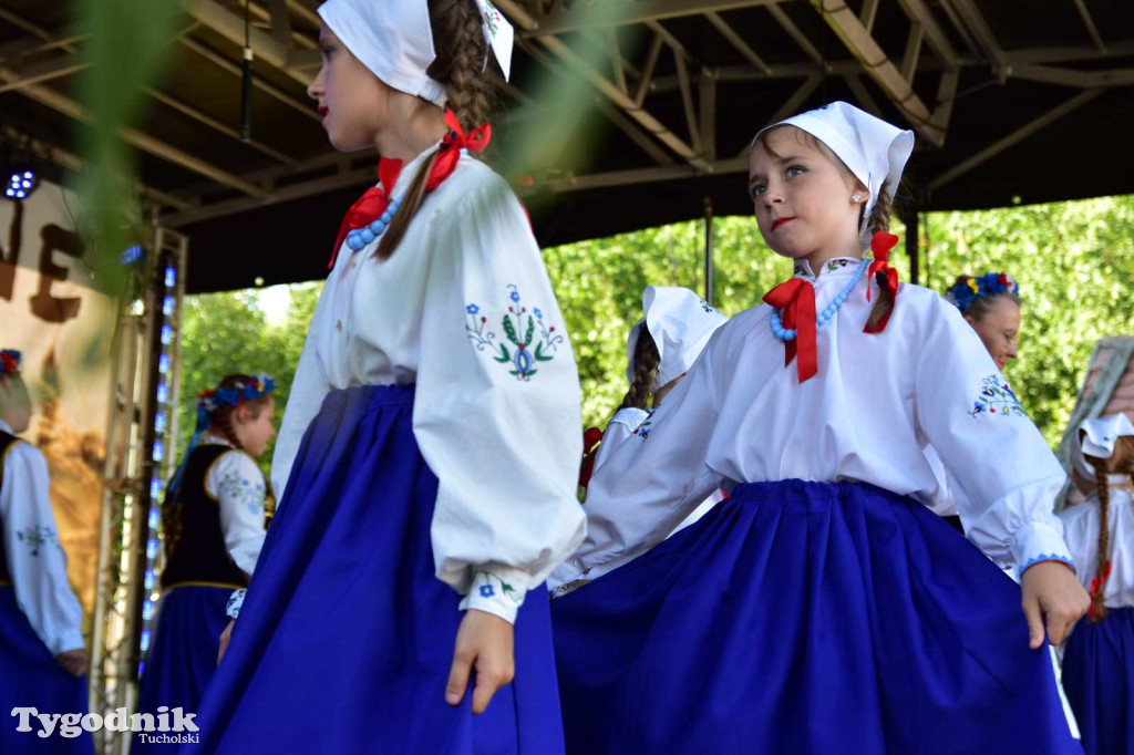 Dożynki w Kręgu. Święto plonów w Gminie Śliwice