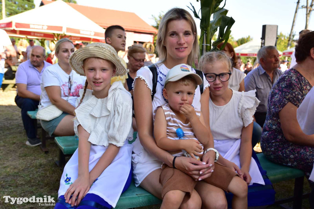 Dożynki w Kręgu. Święto plonów w Gminie Śliwice