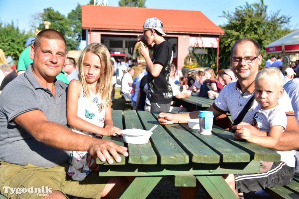 Dożynki w Kręgu. Święto plonów w Gminie Śliwice