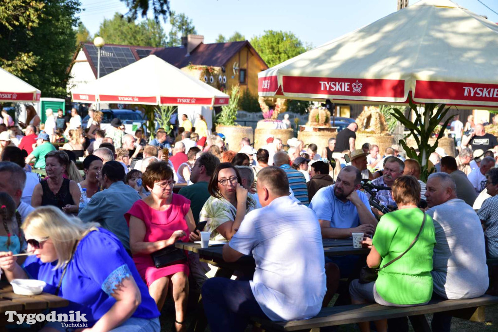 Dożynki w Kręgu. Święto plonów w Gminie Śliwice