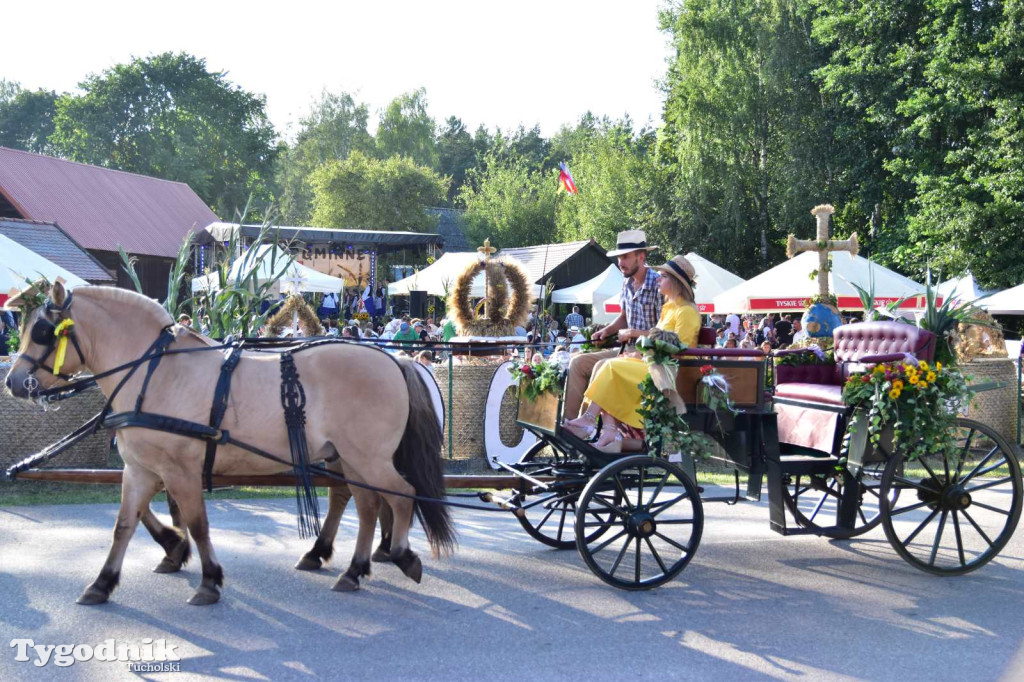 Dożynki w Kręgu. Święto plonów w Gminie Śliwice