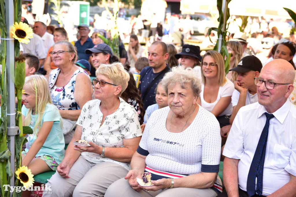 Dożynki w Kręgu. Święto plonów w Gminie Śliwice